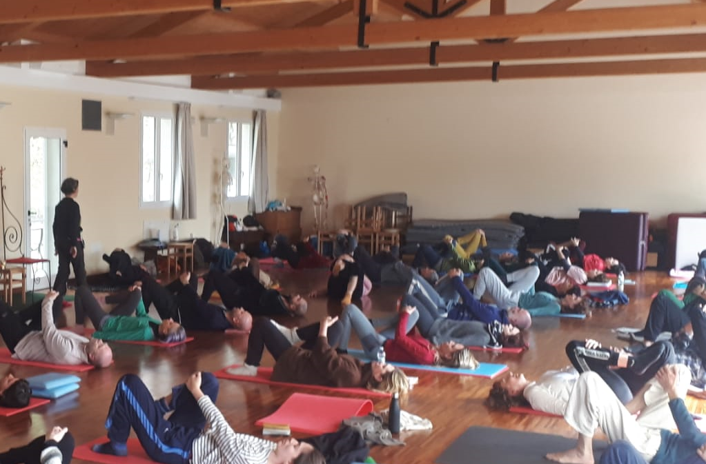 Corsi di gruppo feldenkais in Trentino